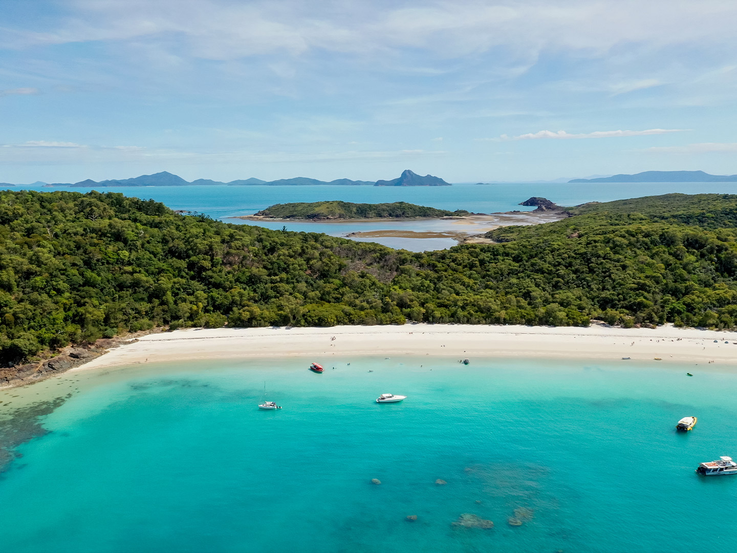 Best Whitehaven Beach Tour From Airlie Beach Whitehaven Xpress 
